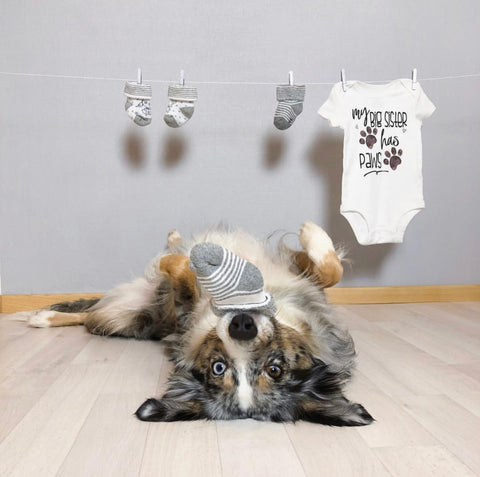 Pregnancy Reveal