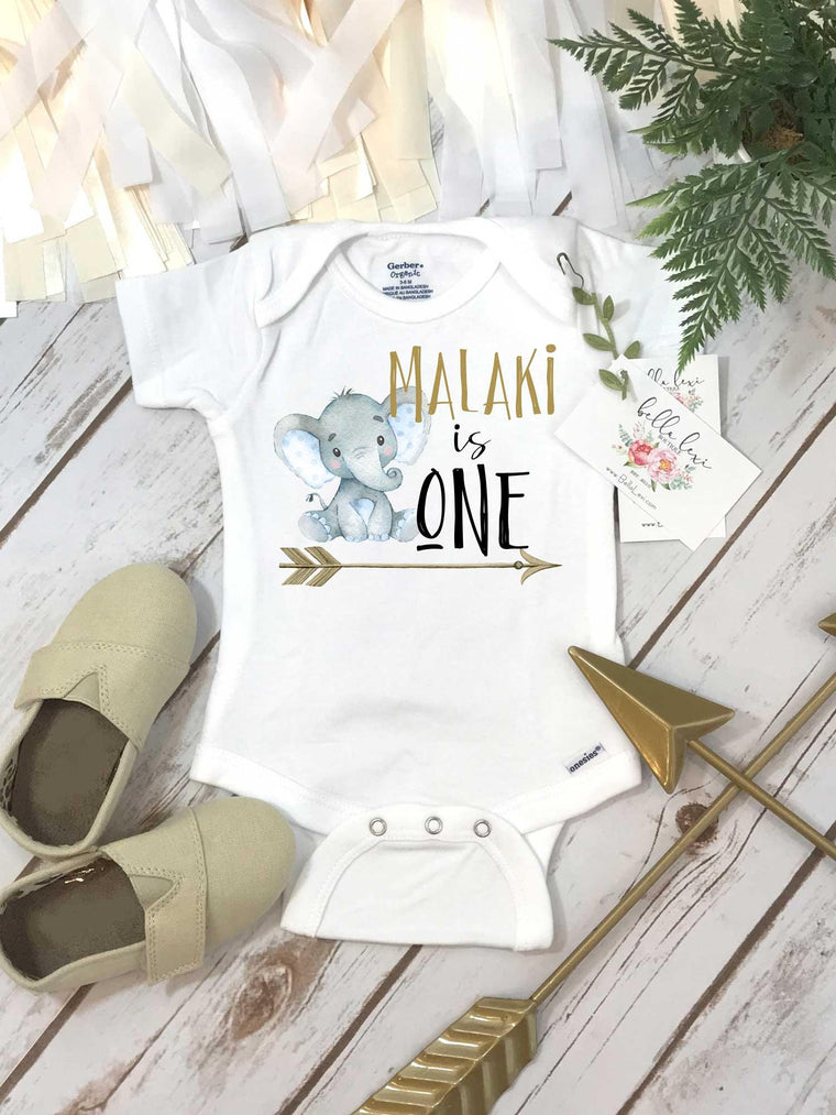 First Birthday, Elephant Theme, Birthday Shirt, 1st Birthday, Personalized Birthday Shirt, Boy Birthday, Birthday Onesie®, Best Seller baby