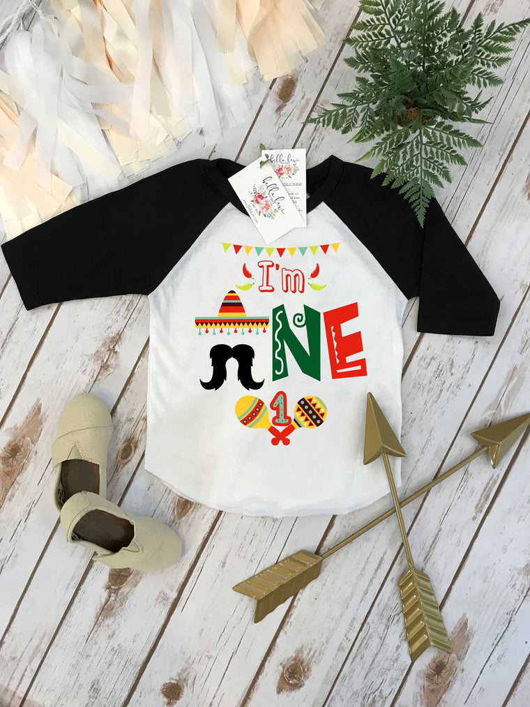 First Birthday Shirt, Fiesta Birthday, 1st Birthday shirt, Fiesta and Fun, Taco Party, Taco Bout Fun, Taco Birthday, Mexican Fiesta Party