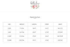Baby Shower Gift, Farmer's Market Baby, Organic Baby Gift, Meet me at the Farmer's Market, Rainbow Baby, Organic Baby, Organic Bodysuit,