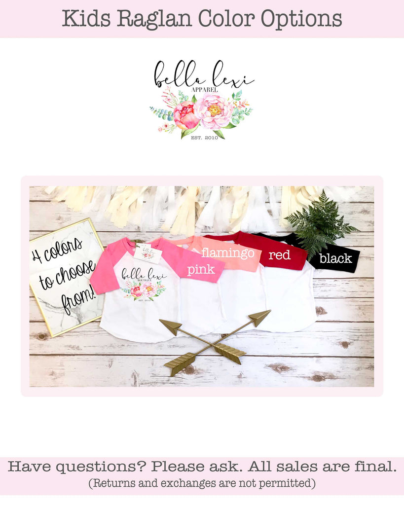 Big Sister Shirt, Big Sister Raglan, Sisters Shirts, Big Sister Arrow, Sister Shirt, Family tees, Big Sister Reveal, Big Sister Announcement