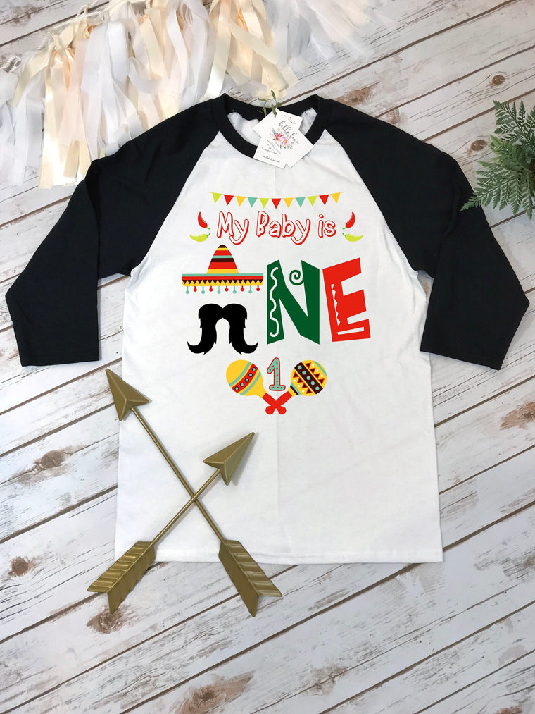 Fiesta Party, Fiesta Birthday, Fiesta Birthday shirt, Fiesta and Fun, Taco Party, Taco Bout Fun, Taco Birthday, Mexican Fiesta, 1st Birthday