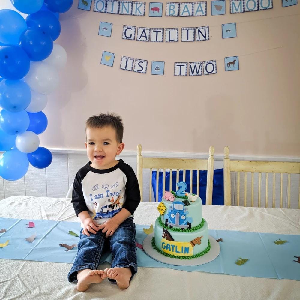 Second Birthday, Oink Baa Moo, Farm Birthday, Oink Moo Turning Two, 2nd Birthday, Blue Truck Party, Farm Party Theme, Boy Birthday SHIRT