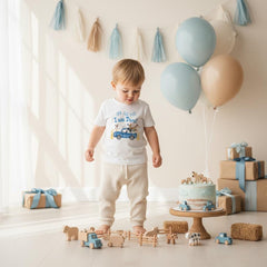 Second Birthday, Oink Baa Moo, Farm Birthday, Oink Moo Turning Two, 2nd Birthday, Blue Truck Party, Farm Party Theme, Boy Birthday SHIRT