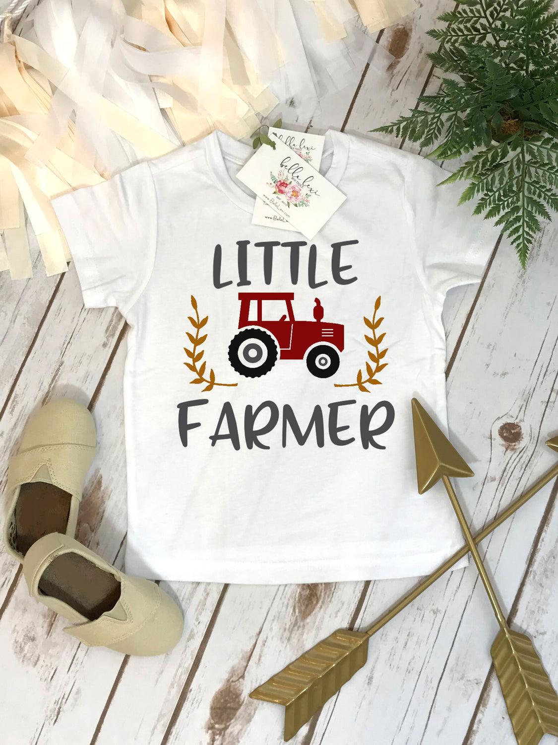 Pregnancy Announcement, Little Farmer Shirt, Big Brother Shirt, Country Baby Coming, Baby Reveal, Pregnancy Reveal, Matching Brothers Shirts